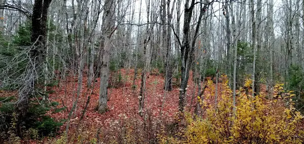 000 Square Road #Lot B, Eden, VT 05653