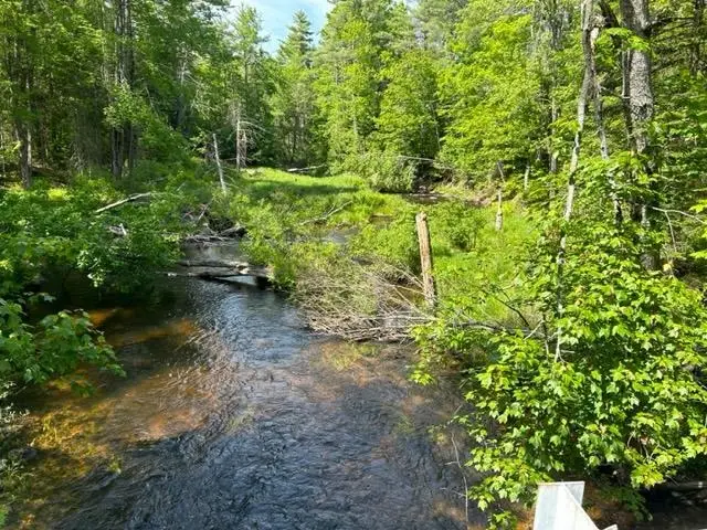 68 Granite Road, Effingham, NH 03882 - Image #2