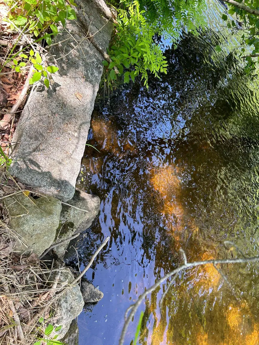 68 Granite Road, Effingham, NH 03882 - Image #3