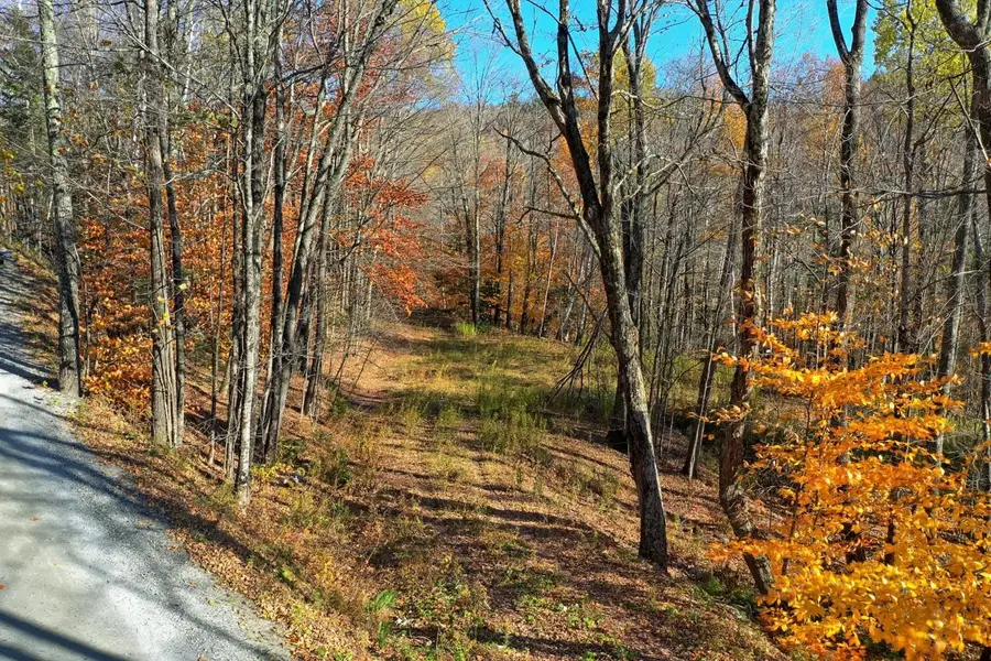 Lot 10 South Hill Road, Stockbridge, VT 05772 - Image #3