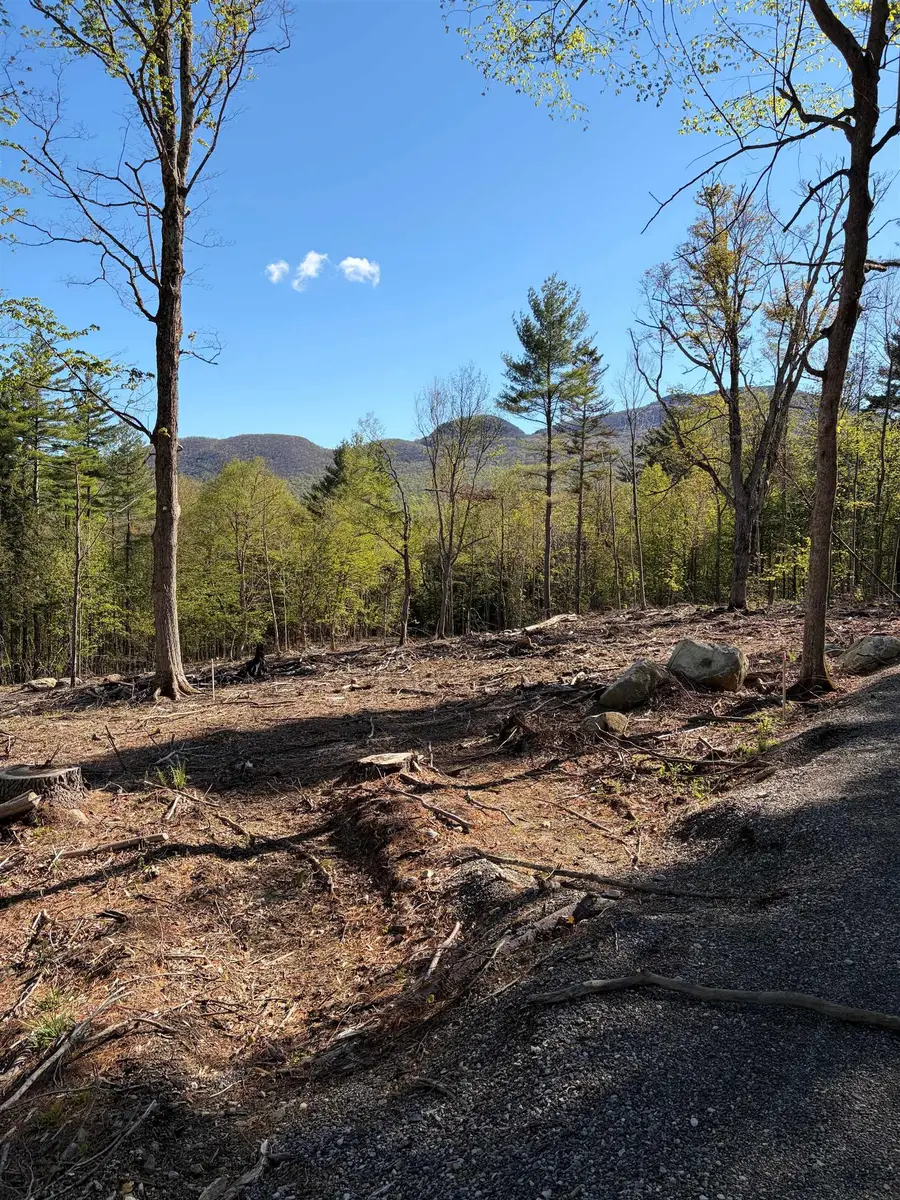 lot A Frost Pond Road, Dorset, VT 05251 - #2
