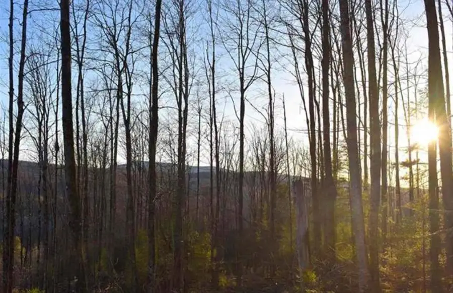 0 Sutton Road, Wheelock, VT 05851 - Image #2