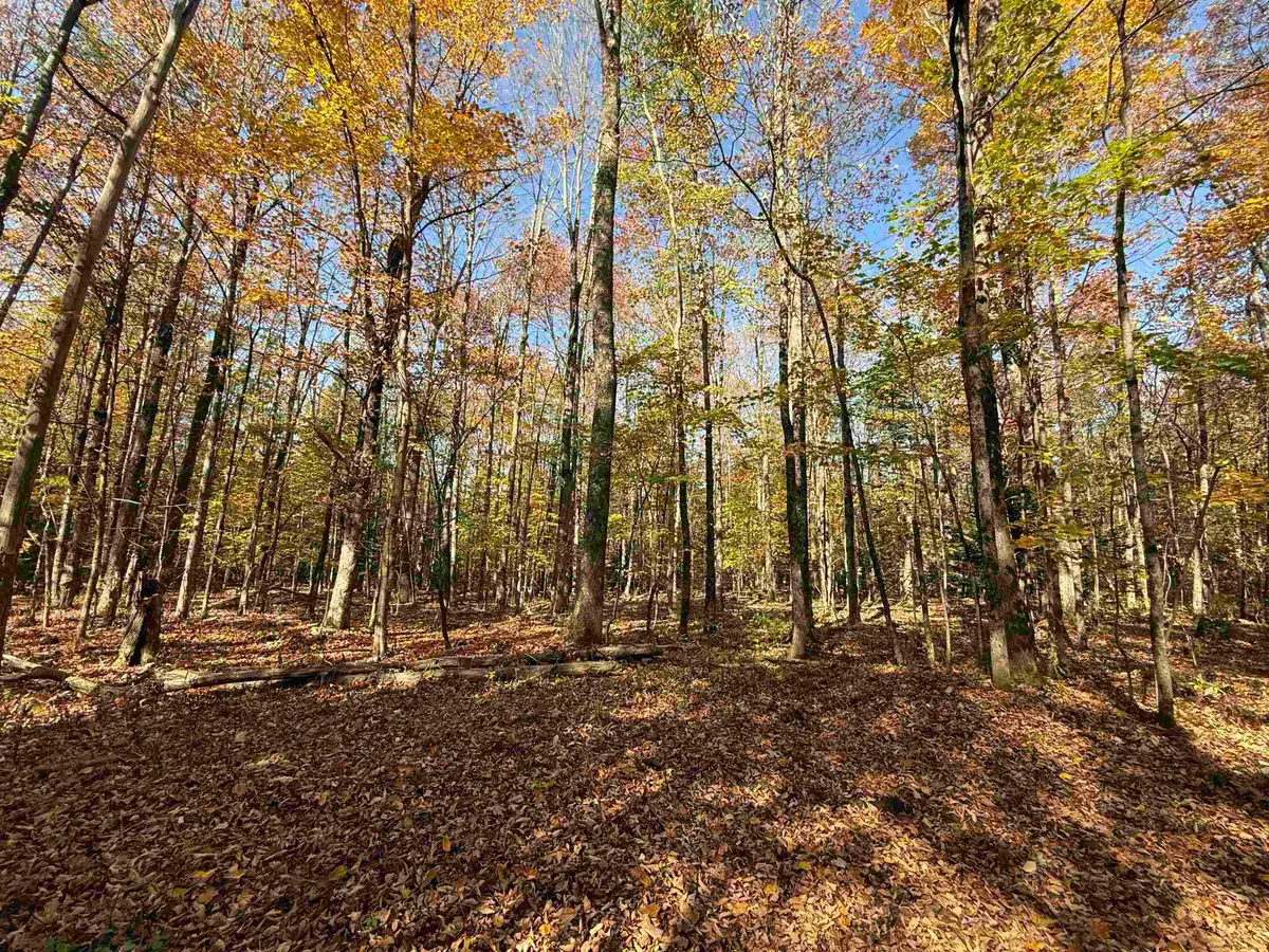 1414 Collins Mill Road, Newport Town, VT 05857 - Image #1