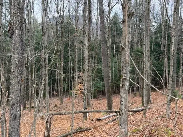 00 Maxfield Road, Waterville, VT 05492 - Image #2