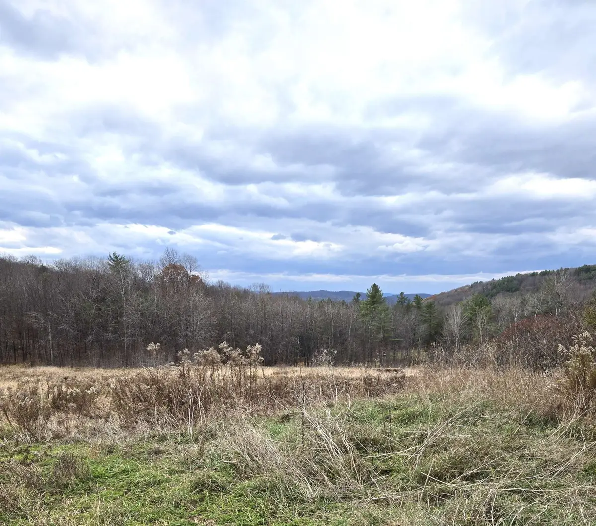 3531 Dairy Hill Road, Tunbridge, VT 05077 - Image #1