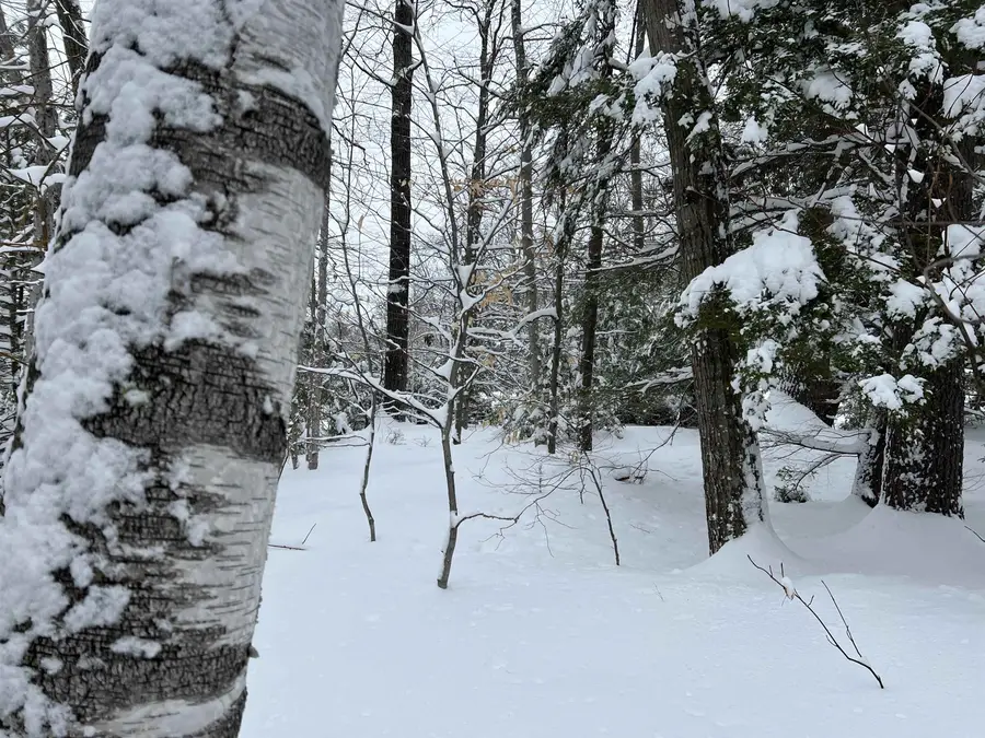 0 Oak Ridge Road, Plymouth, NH 03264 - Image #2