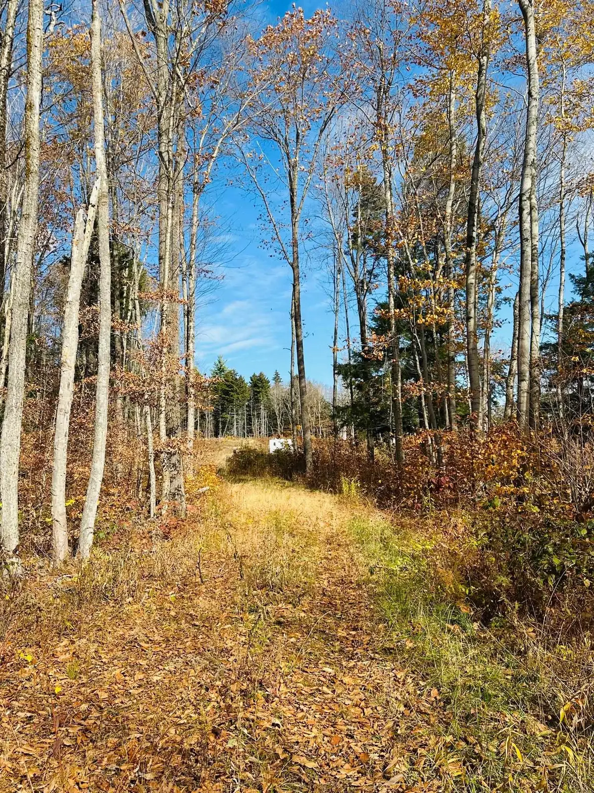 227 Gault Road, Wardsboro, VT 05355 - Image #1