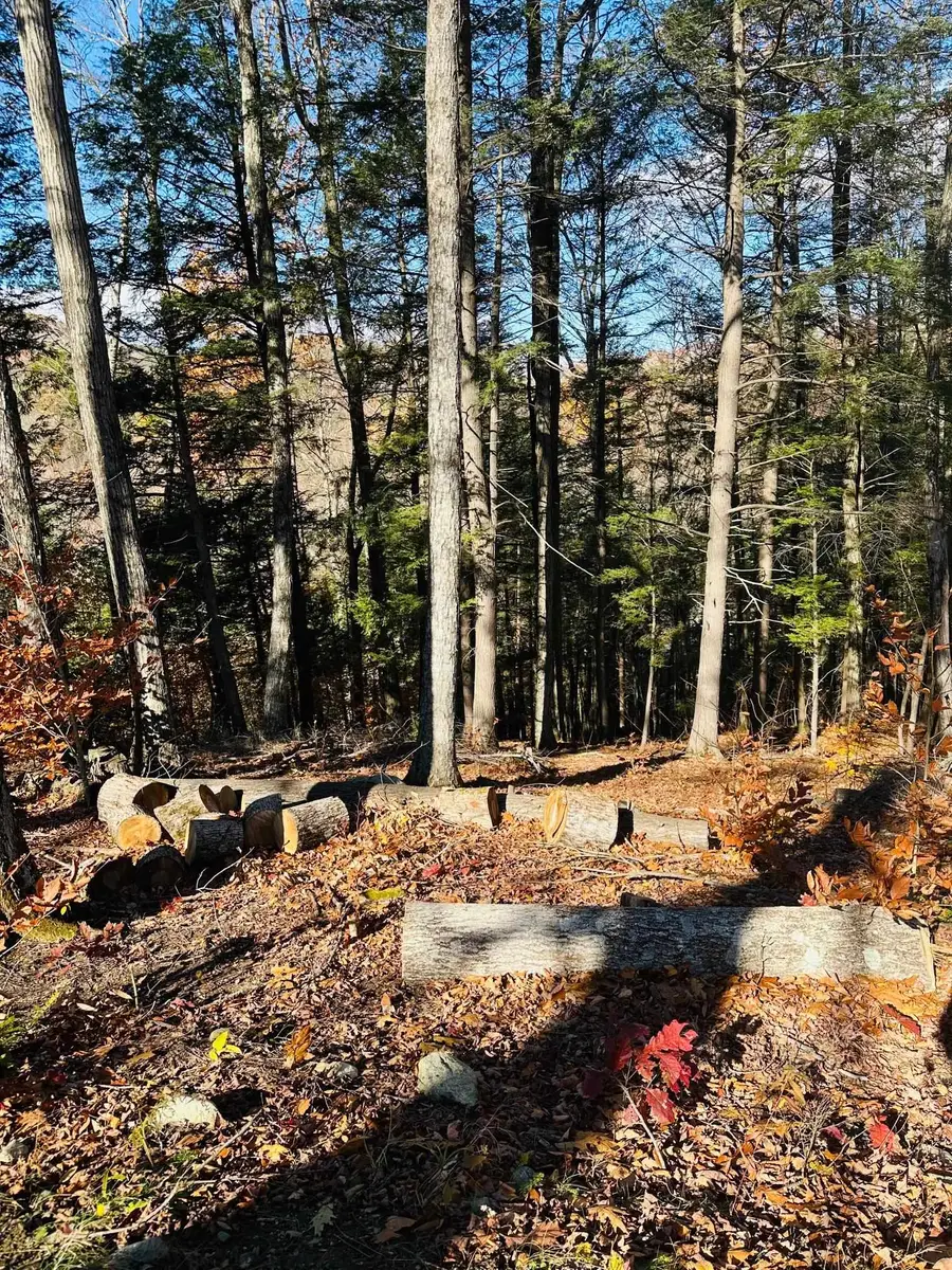 0 Cooke Road, Brattleboro, VT 05301 - Image #3