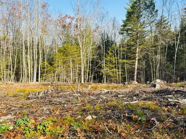 Lot 70 Homestead Lane, Barrington, NH 03825