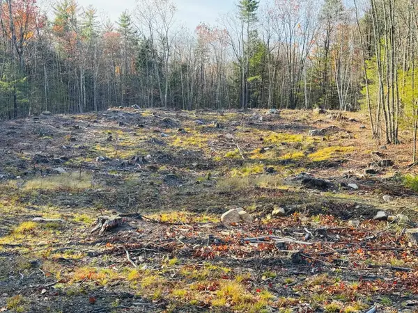 Lot 77 Homestead Lane, Barrington, NH 03825