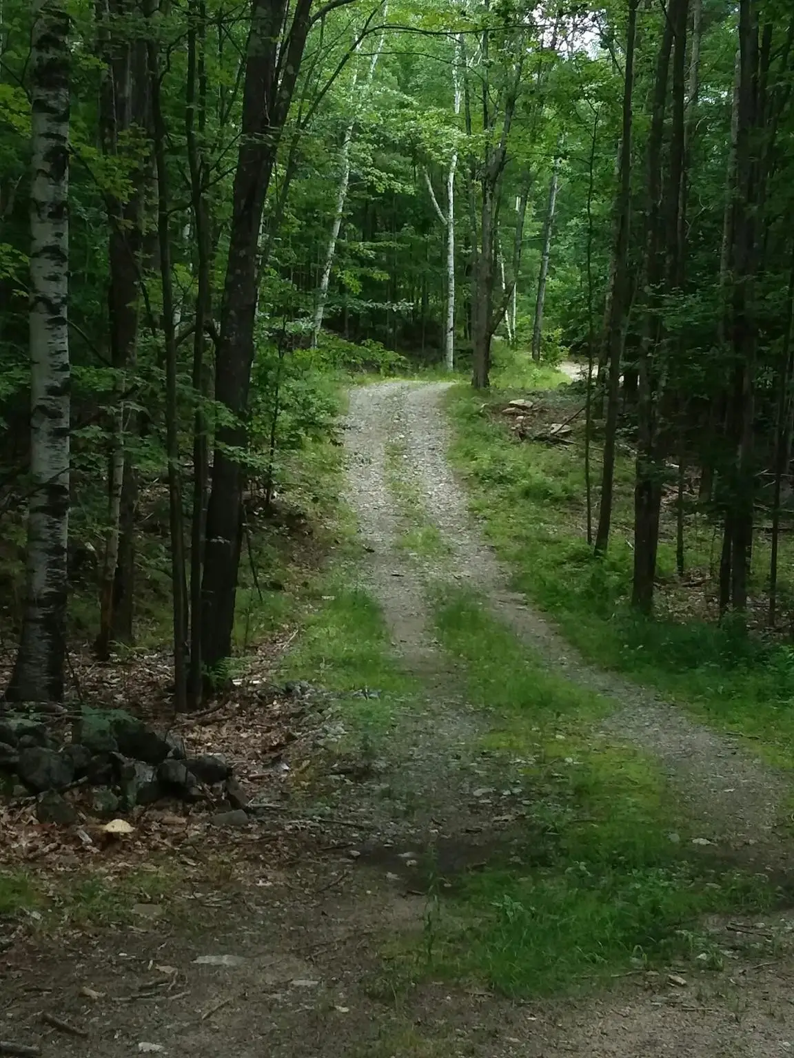 00 Old Wolfeboro Road, Alton, NH 03809 - Image #1