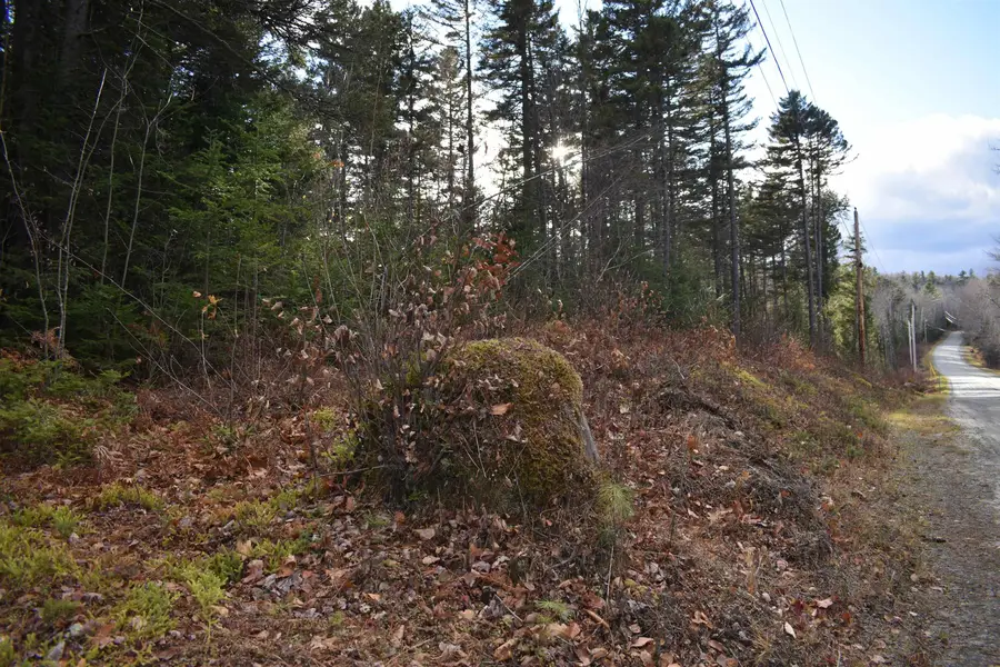 0 Grafton Pond Road, Enfield, NH 03748 - Image #2