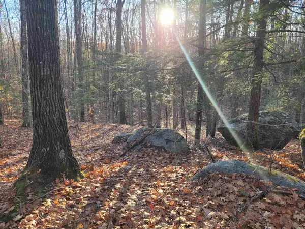 0 Old Tipping Rock Road, Winchester, NH 03470