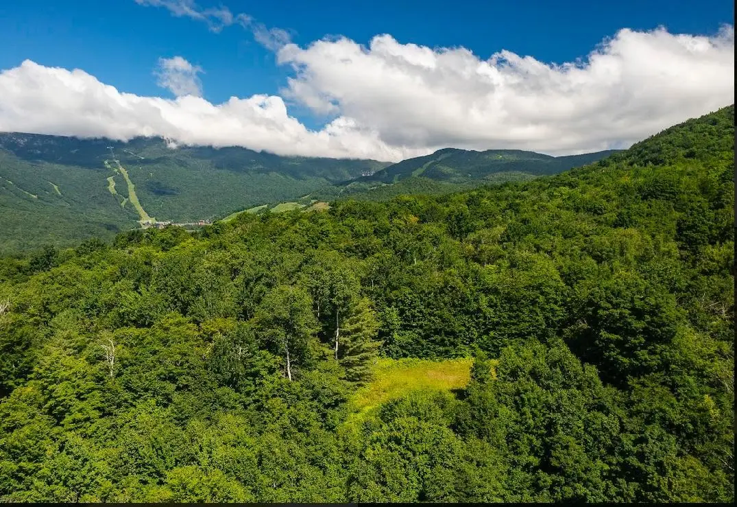 00 Robinson Springs Road #71, Stowe, VT 05672 - Image #1