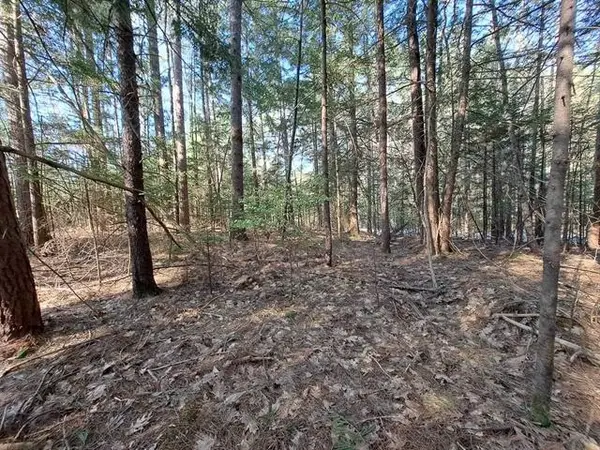 19 Beacon Hill Road, Thornton, NH 03223