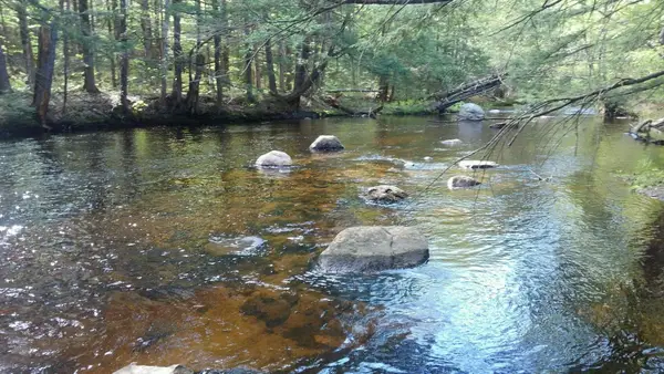 28 Beech River Circle, Ossipee, NH 03814