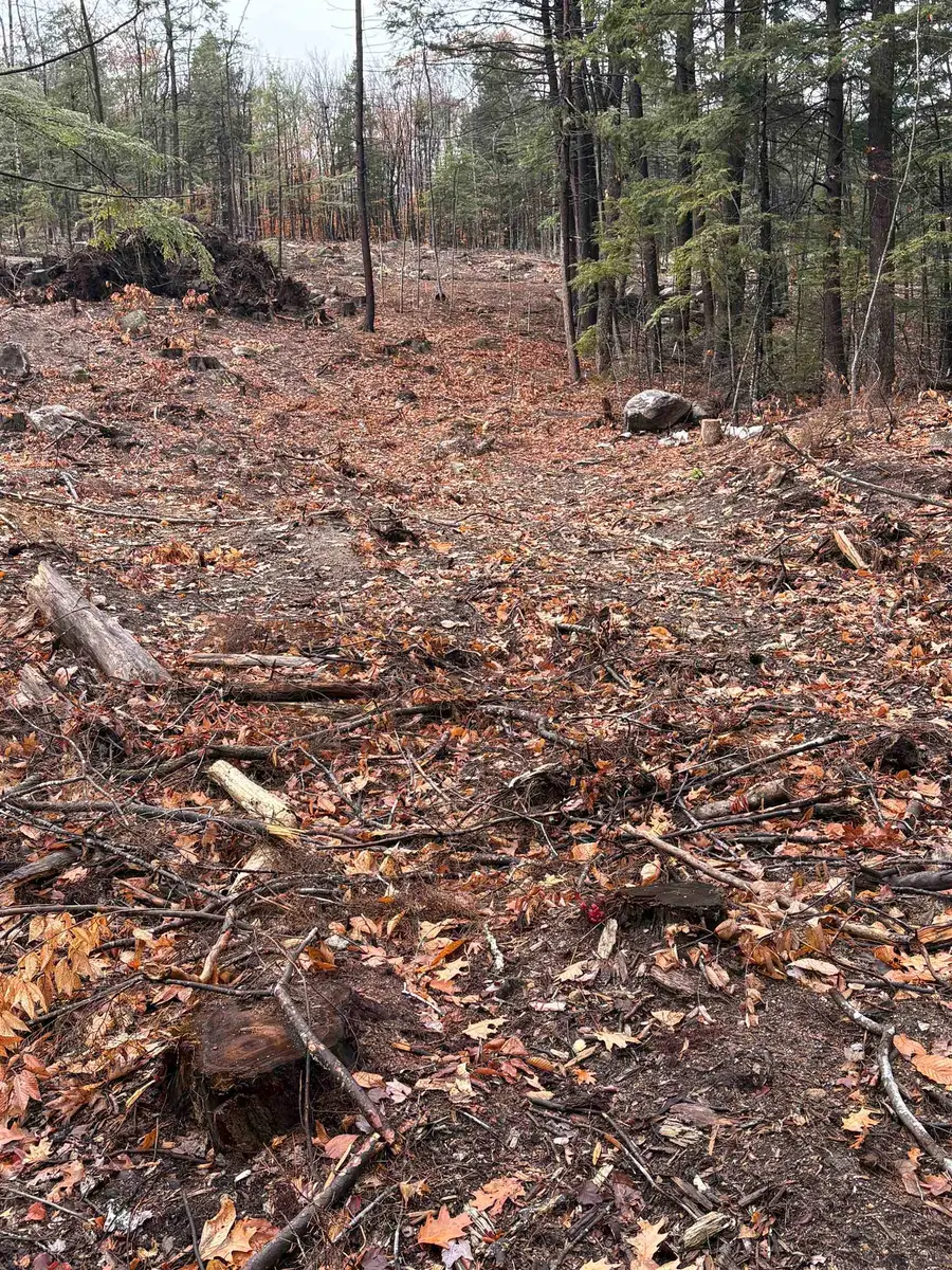 7 Sugarloaf Drive #8, Ossipee, NH 03814 - Image #3