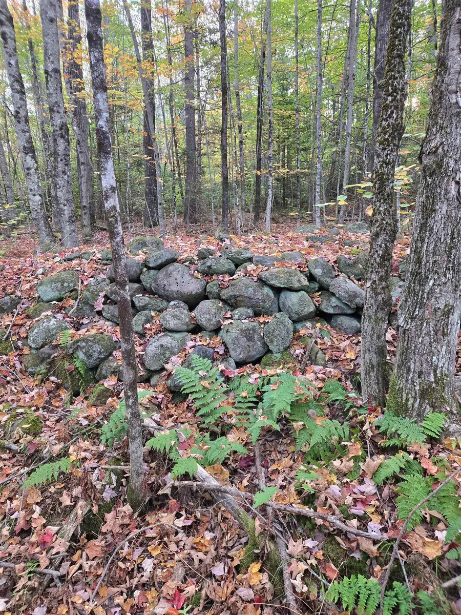 165 Bullocks Crossing Road, Grafton, NH 03240 - Image #2