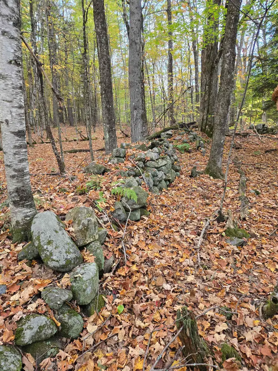 165 Bullocks Crossing Road, Grafton, NH 03240 - Image #3