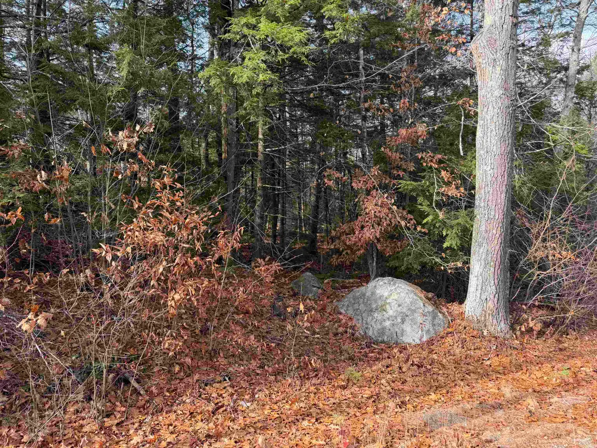 Map 29 Lot 5-1 Middleton Road, Milton, NH 03851 - Image #1