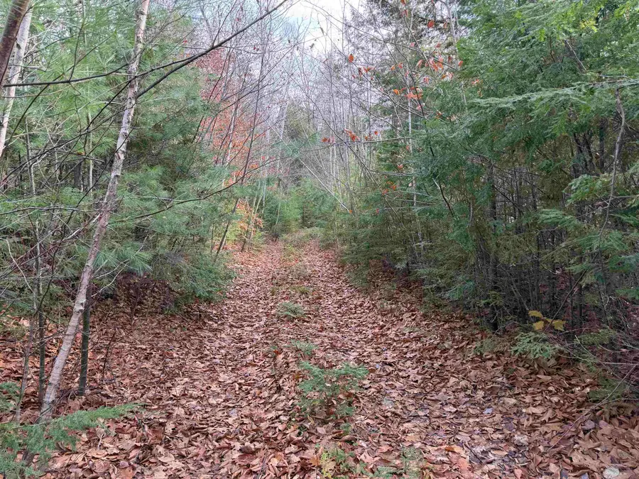 Map 29 Lot 5-1 Middleton Road, Milton, NH 03851 - Image #3