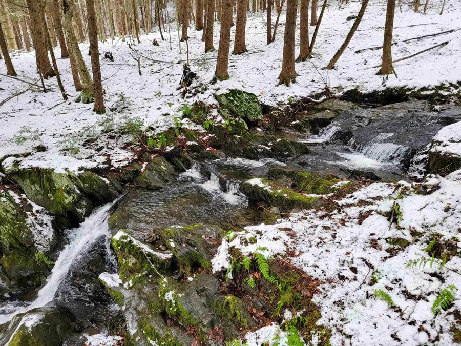 167 High Meadow Road, Stowe, VT 05672 - Image #3