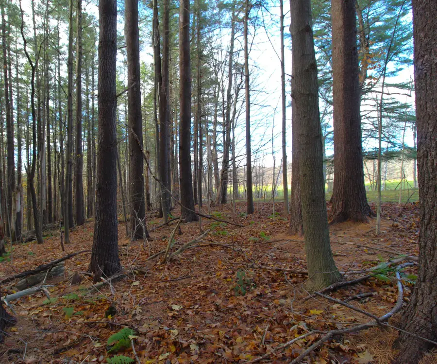 1347 Morse Hill Road #Lot 12-A, Dorset Town, VT 05253 - Image #3