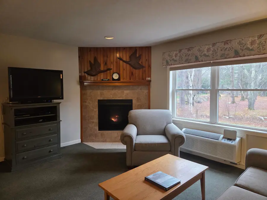 164 Deer Park Drive #160D, North Woodstock, NH 03262 - Image #3