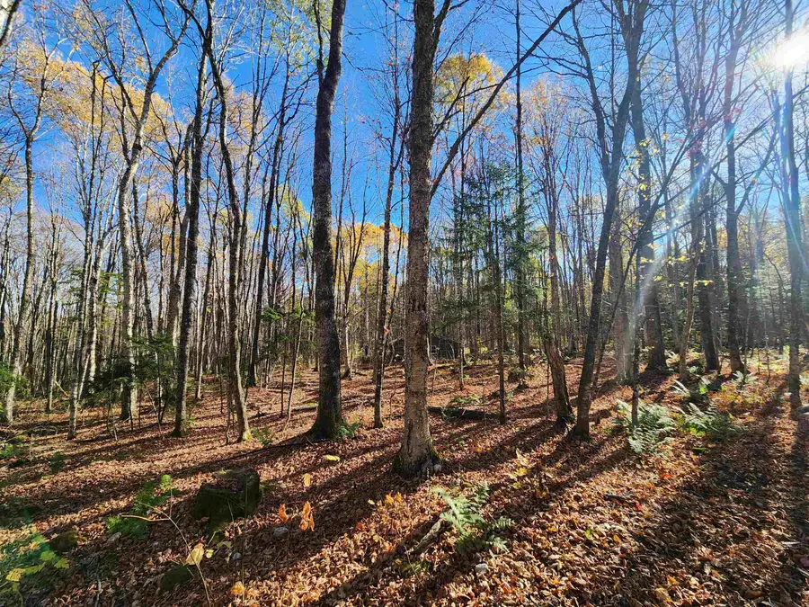 2098 Kinney Hill Road, Newark, VT 05871 - Image #2