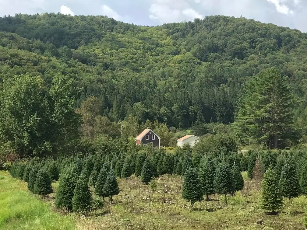 92 Bishop Brook Road, Stewartstown, NH 03576 - Image #1