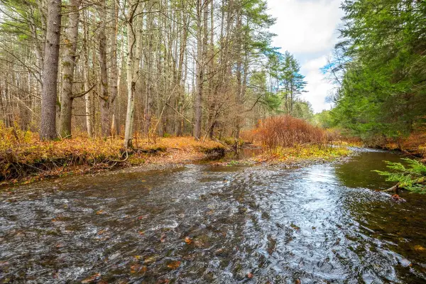 40 E Putney Brook Road, Putney, VT 05346