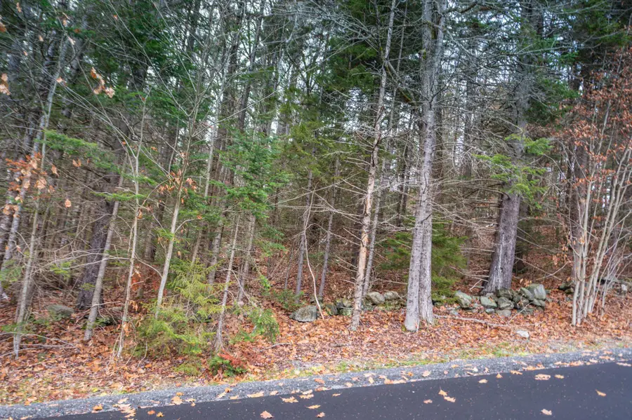 63 Villager Loop, Dover, VT 05356 - Image #2