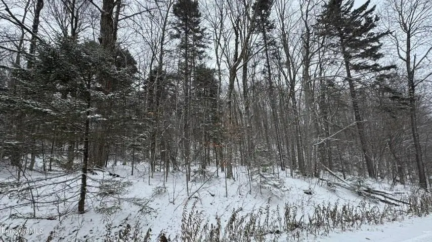 Bergrucken Lane #139 & 140, Readsboro, VT 05350 - Image #2