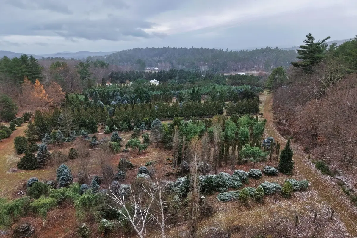 0 Mount Moosilauke Highway, Wentworth, NH 03282 - Image #1