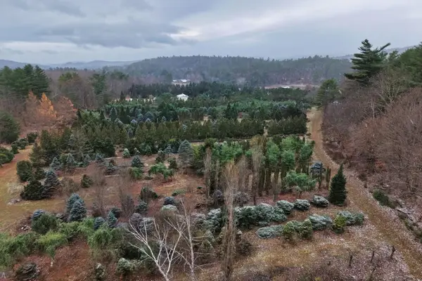 0 Mount Moosilauke Highway, Wentworth, NH 03282