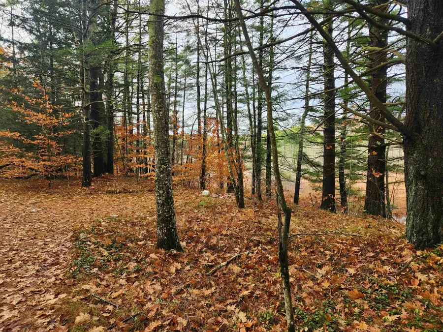 19 White Mountain Highway, Wakefield, NH 03872 - Image #3