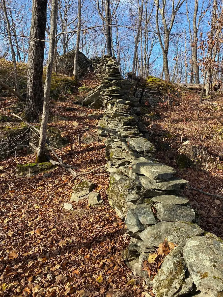 1096 Betts Bridge Road, Pawlet Town, VT 05775 - Image #3