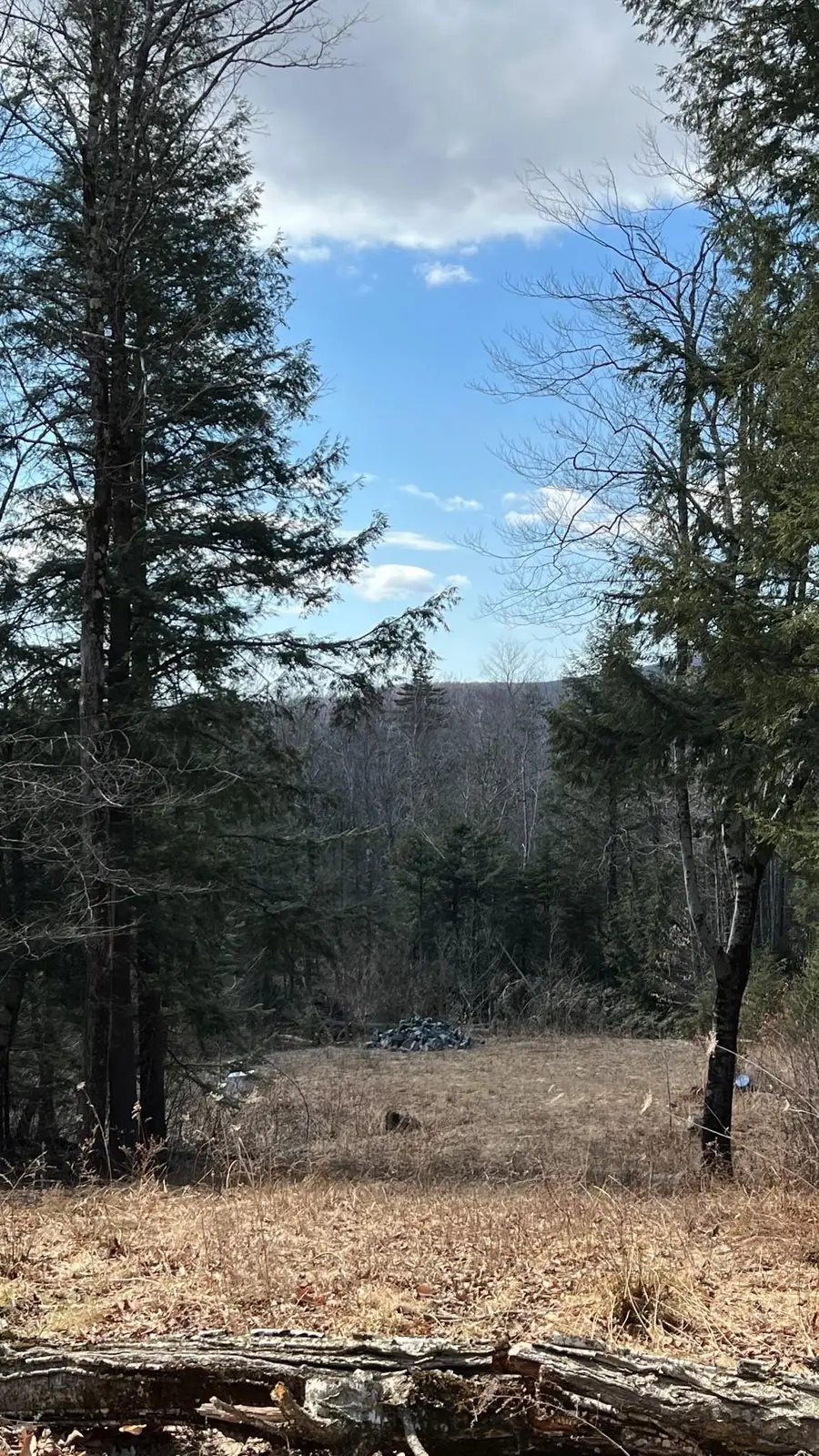 1153 Faulkner Road, Whitingham, VT 05361 - Image #2