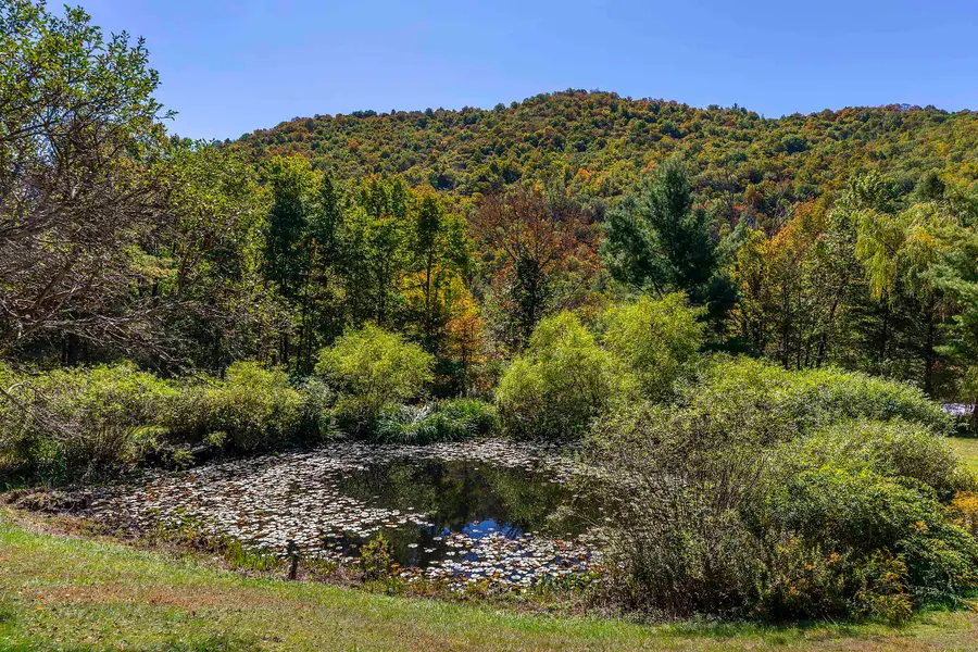 1098 West Sandgate Road, Sandgate, VT 05250 - Image #3