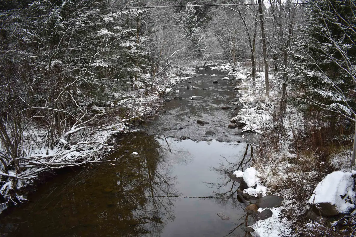 00 Loop Road, Troy Town, VT 05859 - Image #1