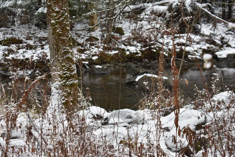 00 Loop Road, Troy Town, VT 05859 - Image #3