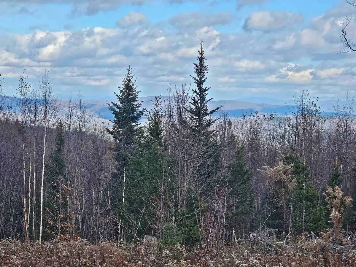 706 VT Route 100, Stratton, VT 05360 - Image #1