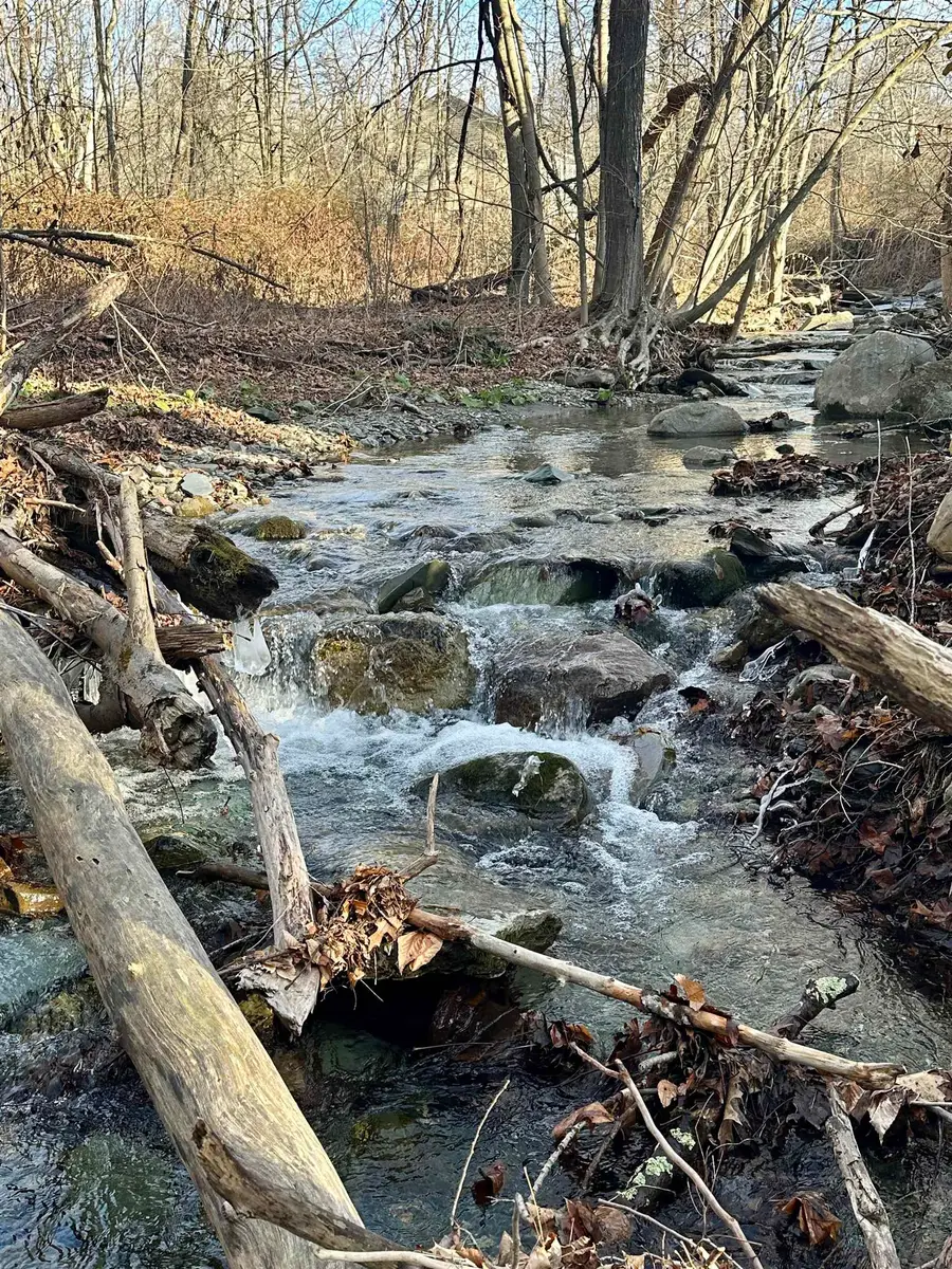 47 Waite Hill Road, Pawlet, VT 05761 - Image #3