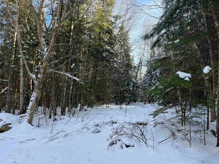 0 Shadow Lake Road, Glover, VT 05839 - Image #2