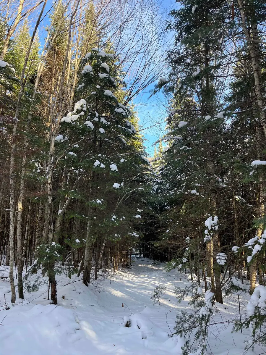 0 Shadow Lake Road, Glover, VT 05839 - Image #3