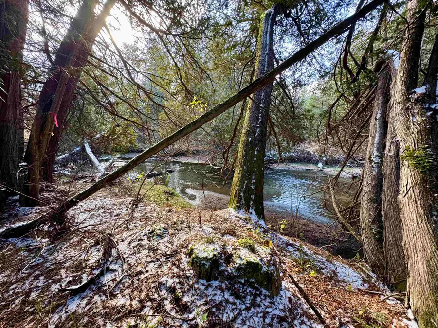 663 Ferguson Road, Barnet, VT 05821 - Image #2