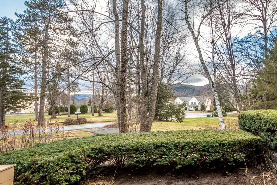 10C Joshua Loop Road, Jackson, NH 03846 - Image #2