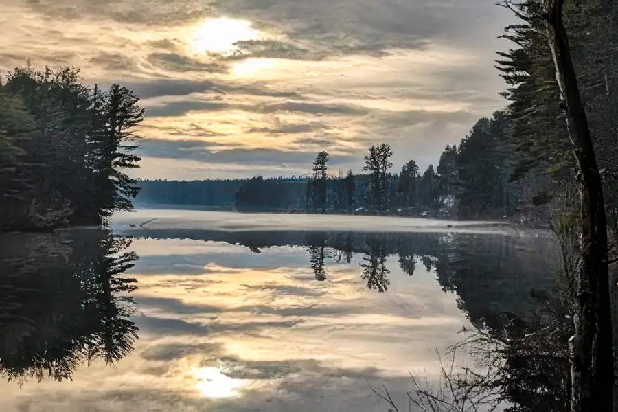 9 Bartemus Trail #303, Nashua, NH 03063 - Image #3