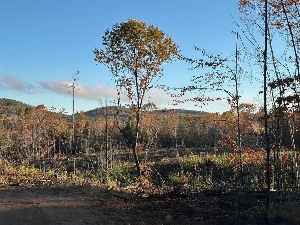 00 Thurley Road, Ossipee, NH 03814 - Image #1