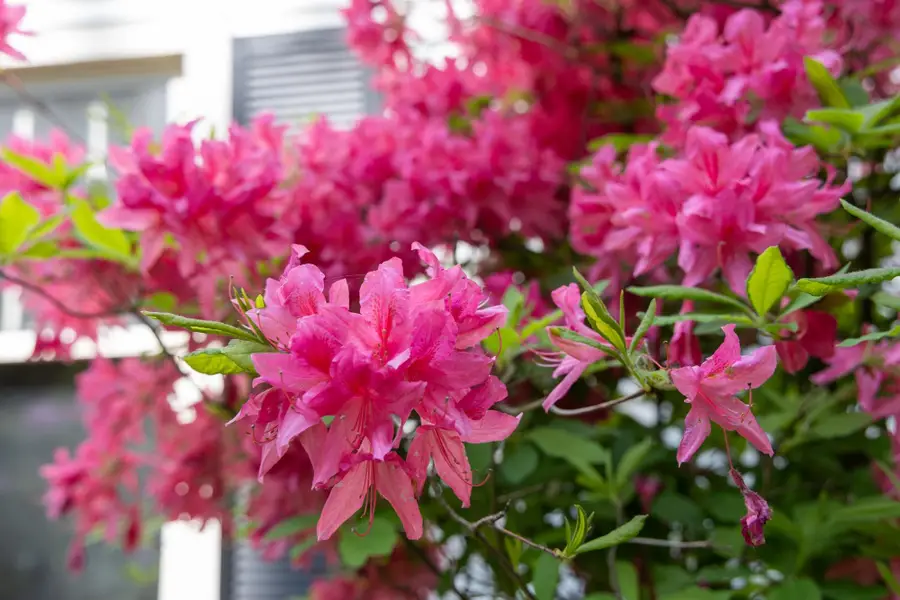 179 Arbor Lane, Colchester, VT 05446 - Image #3